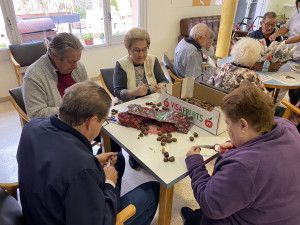 IMG_9296