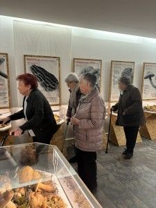 IMG_2595