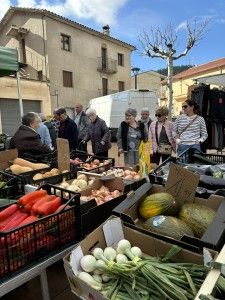 IMG_2621