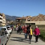 IMG_7909